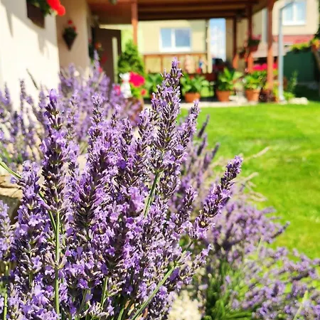 Veronika Spišský Štvrtok